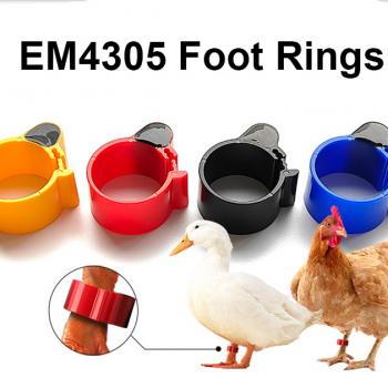 RFID Smart Foot Rings